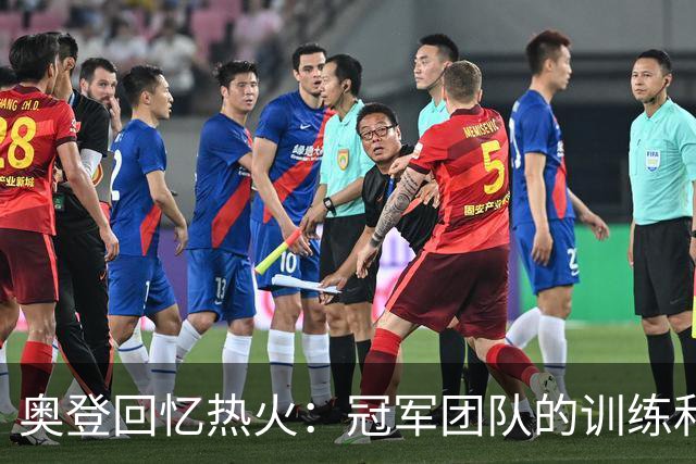 奥登回忆热火：冠军团队的训练和决赛的教训